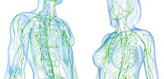  Lymphatic Drainage Therapy (LDT)